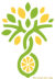 The Lemon Tree Villa